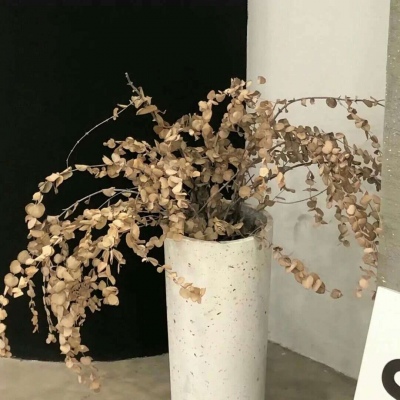 Furry插画细节提升福瑞交流群